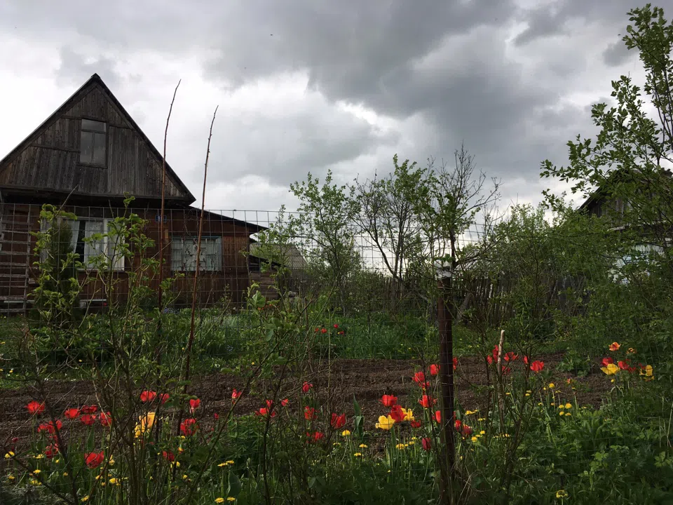 Дача Русское Поле, фото 2