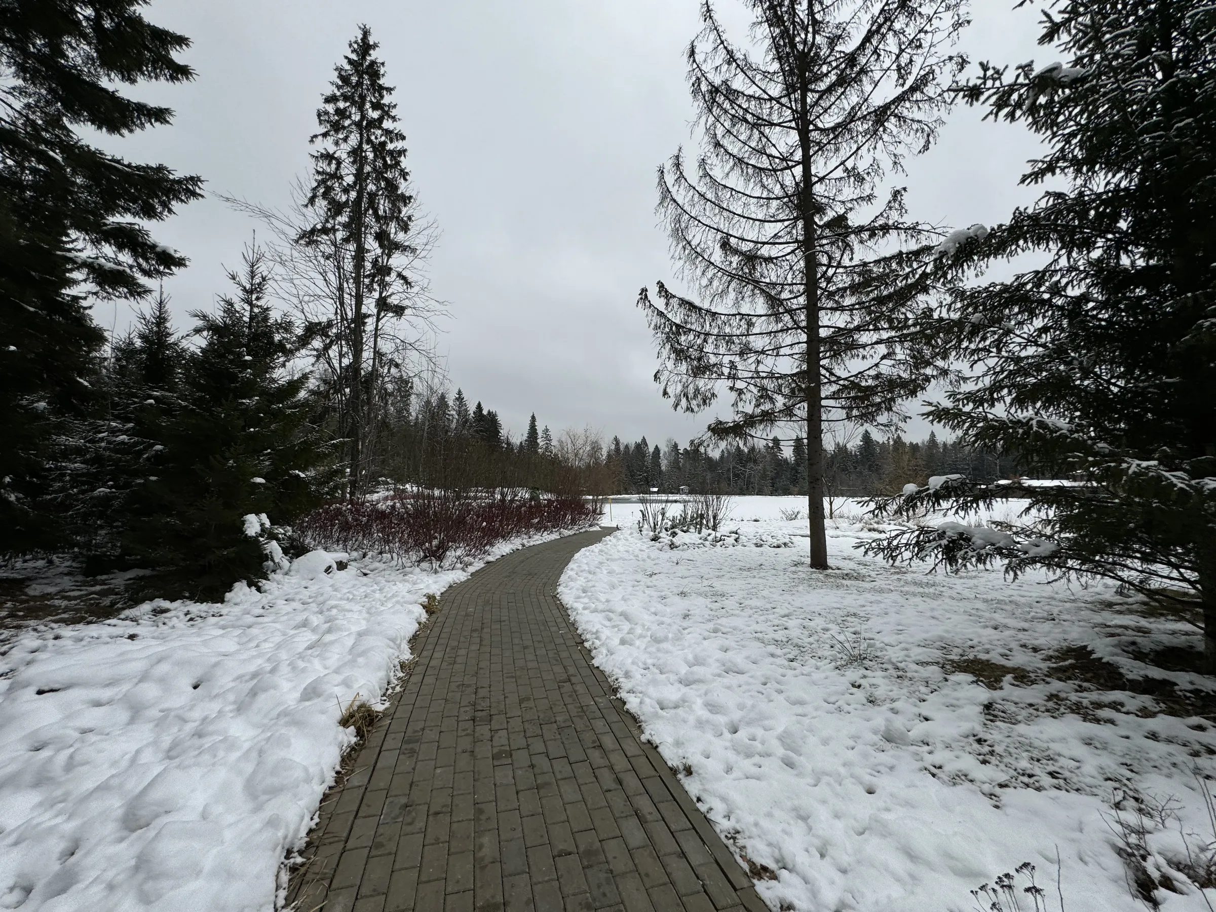 Дом в зимнем лесу, фото 11