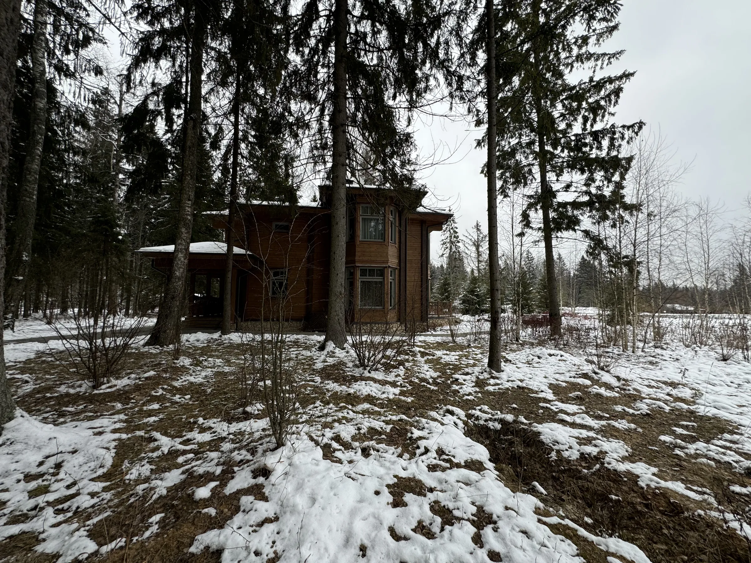 Дом в зимнем лесу, фото 6