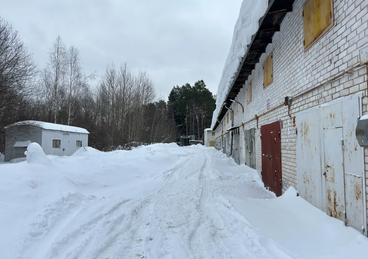 Ряды гаражей в лесу, фото 6