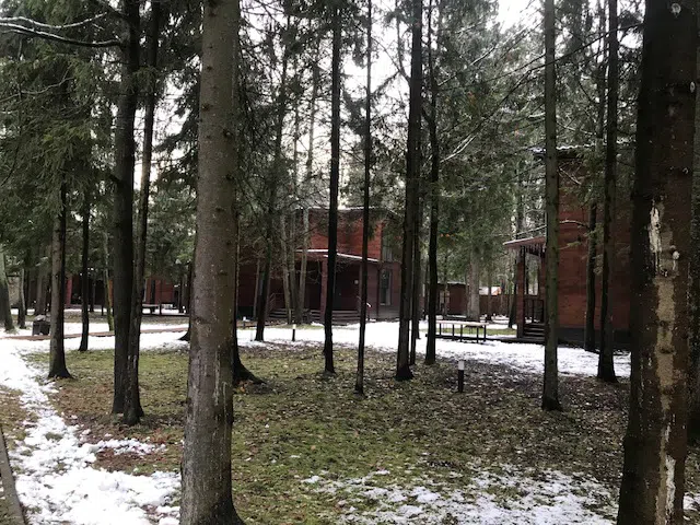 Ряд кедровых домиков, фото 9