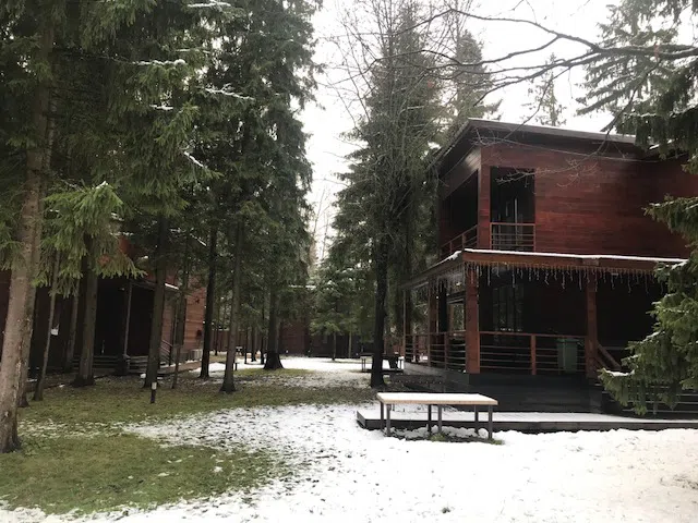 Ряд кедровых домиков, фото 8
