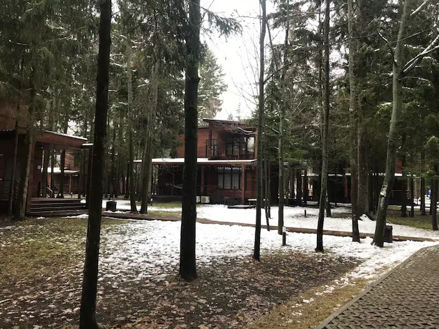 Ряд кедровых домиков, фото 15