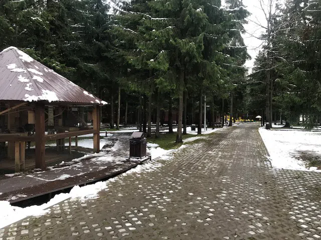 Ряд кедровых домиков, фото 2