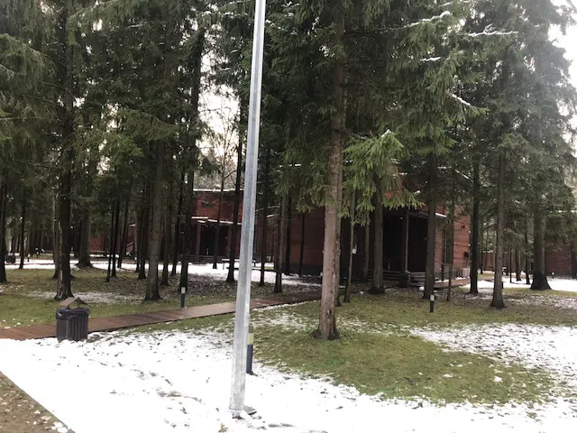 Ряд кедровых домиков, фото 7