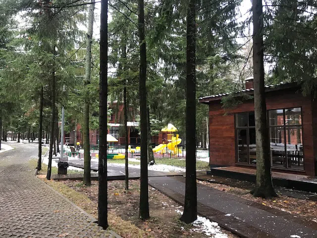 Ряд кедровых домиков, фото 17