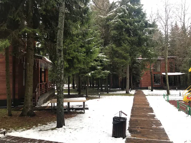 Ряд кедровых домиков, фото 12