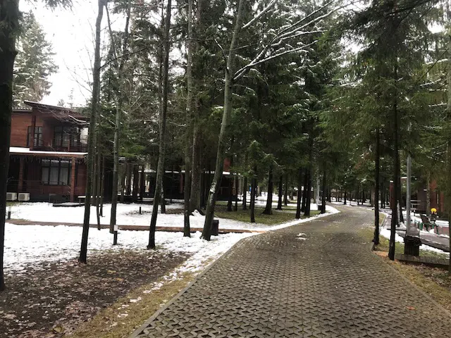 Ряд кедровых домиков, фото 16