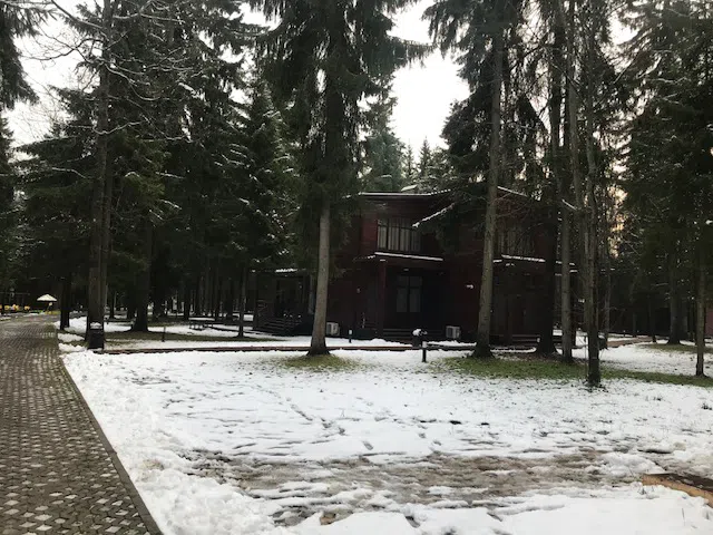 Ряд кедровых домиков, фото 4
