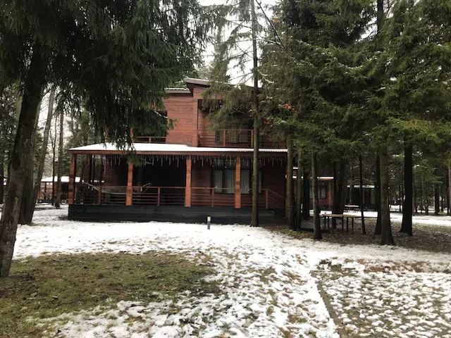 Ряд кедровых домиков, фото 19
