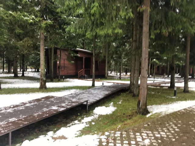 Ряд кедровых домиков, фото 3