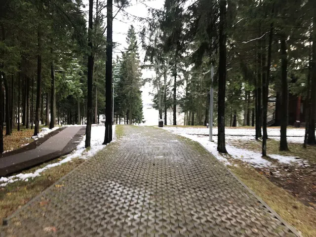 Ряд кедровых домиков, фото 14
