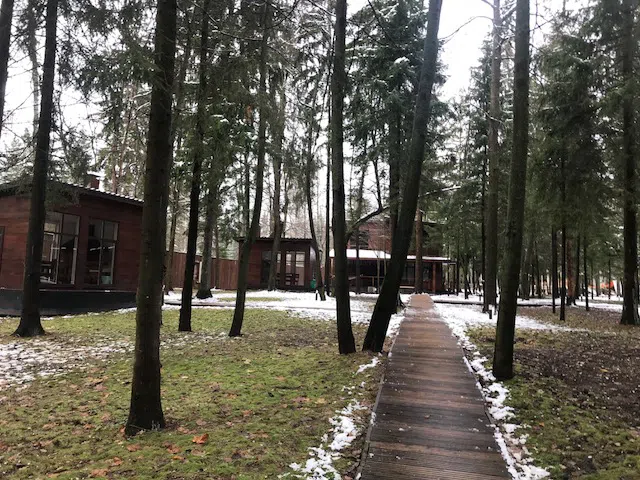 Ряд кедровых домиков, фото 22