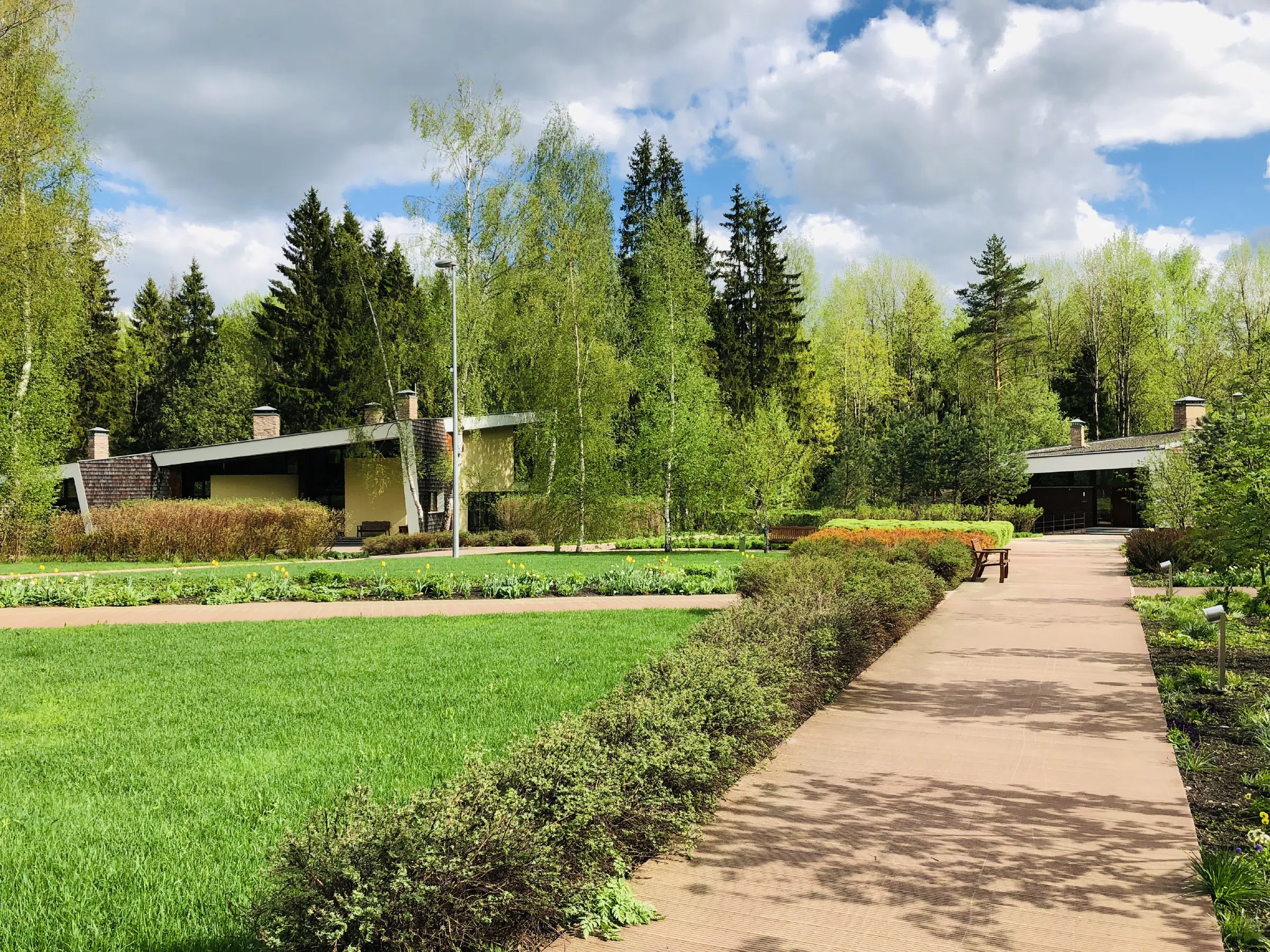 Сосновый Парк с Горкой, фото 10