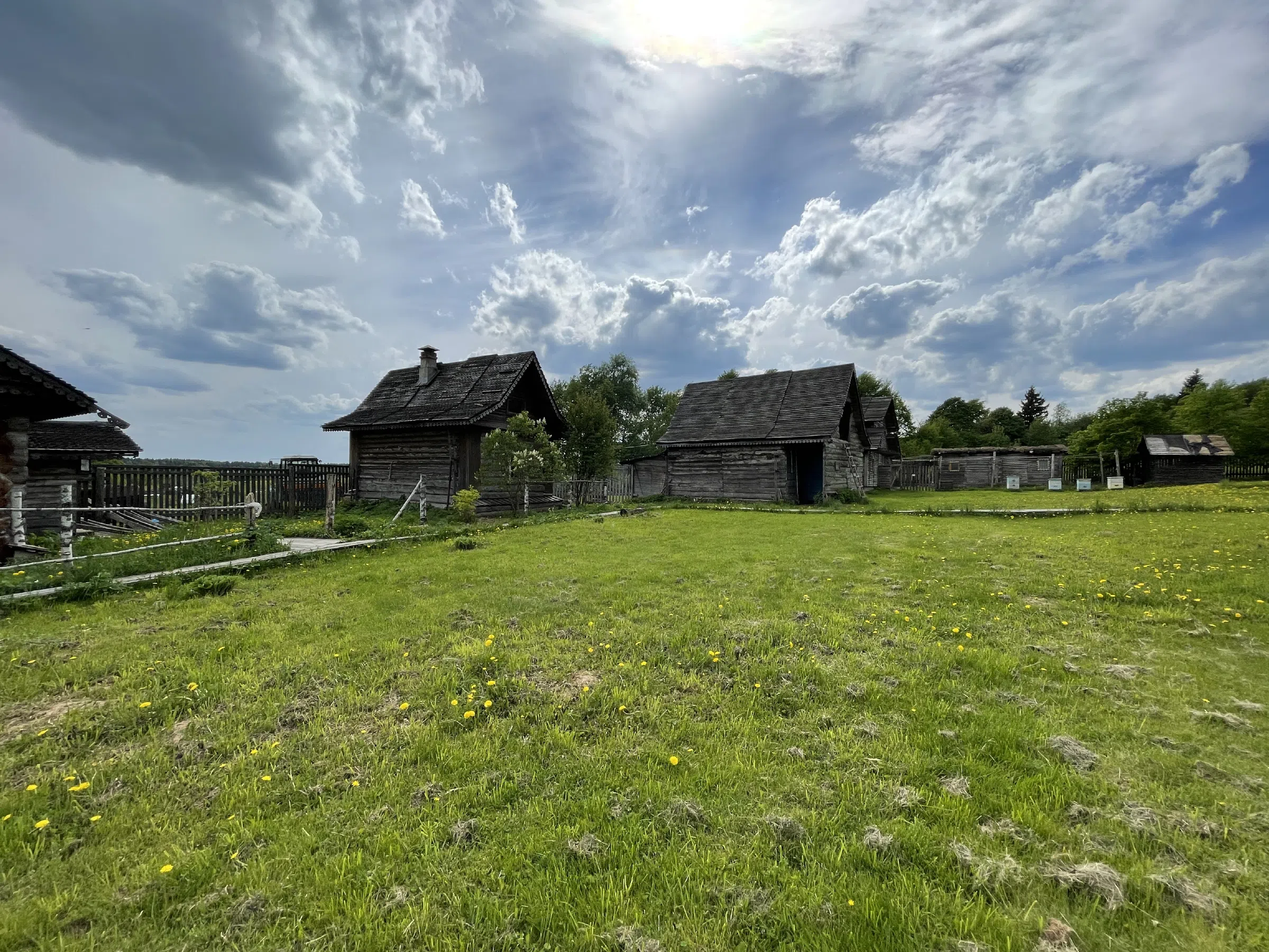 Поле с трактором, фото 23