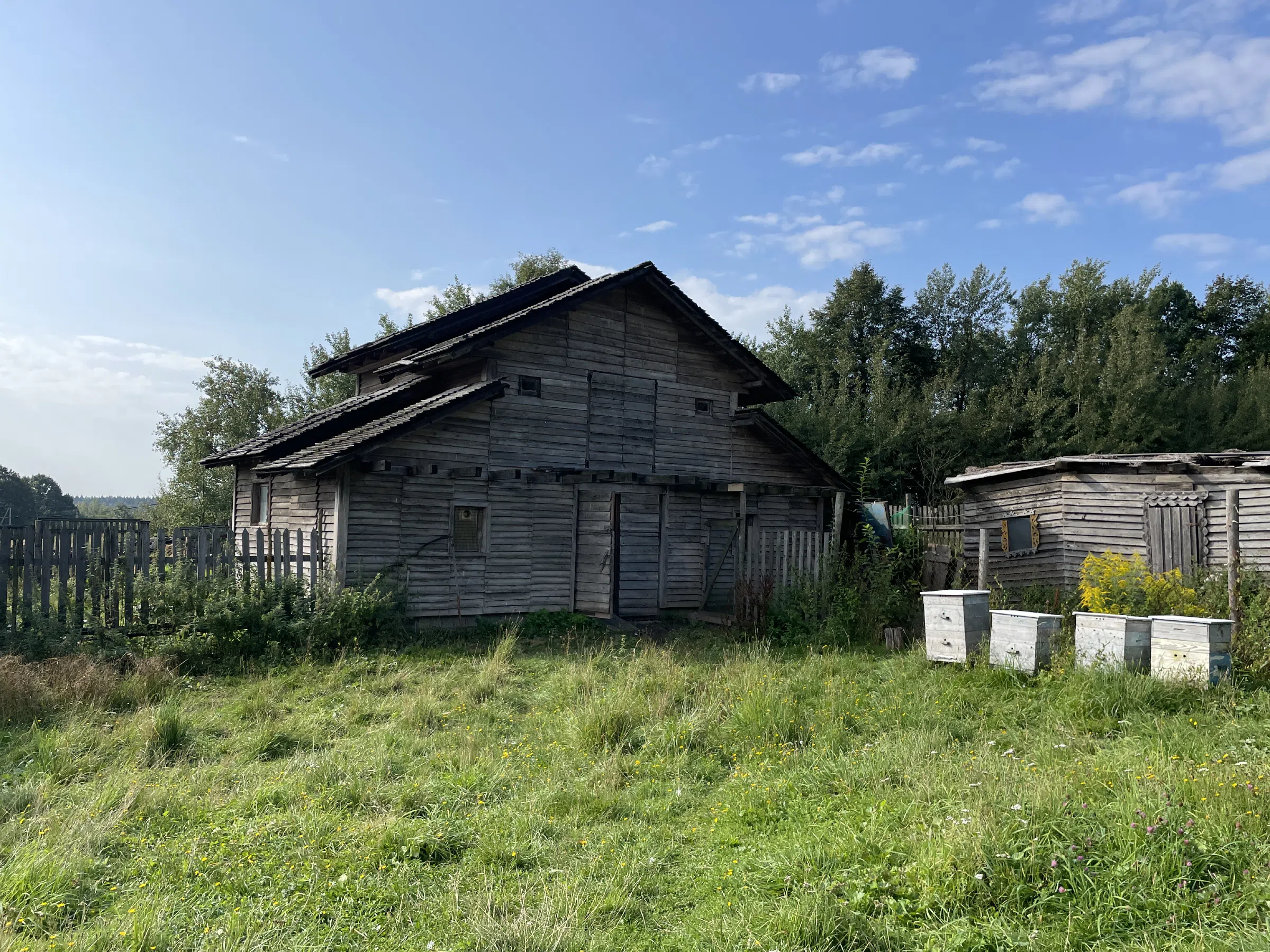 Поле с трактором, фото 12
