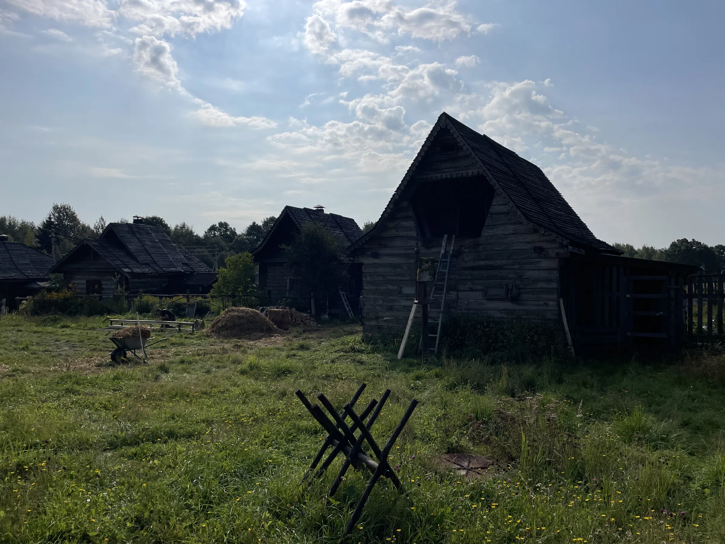 Поле с трактором, фото 13