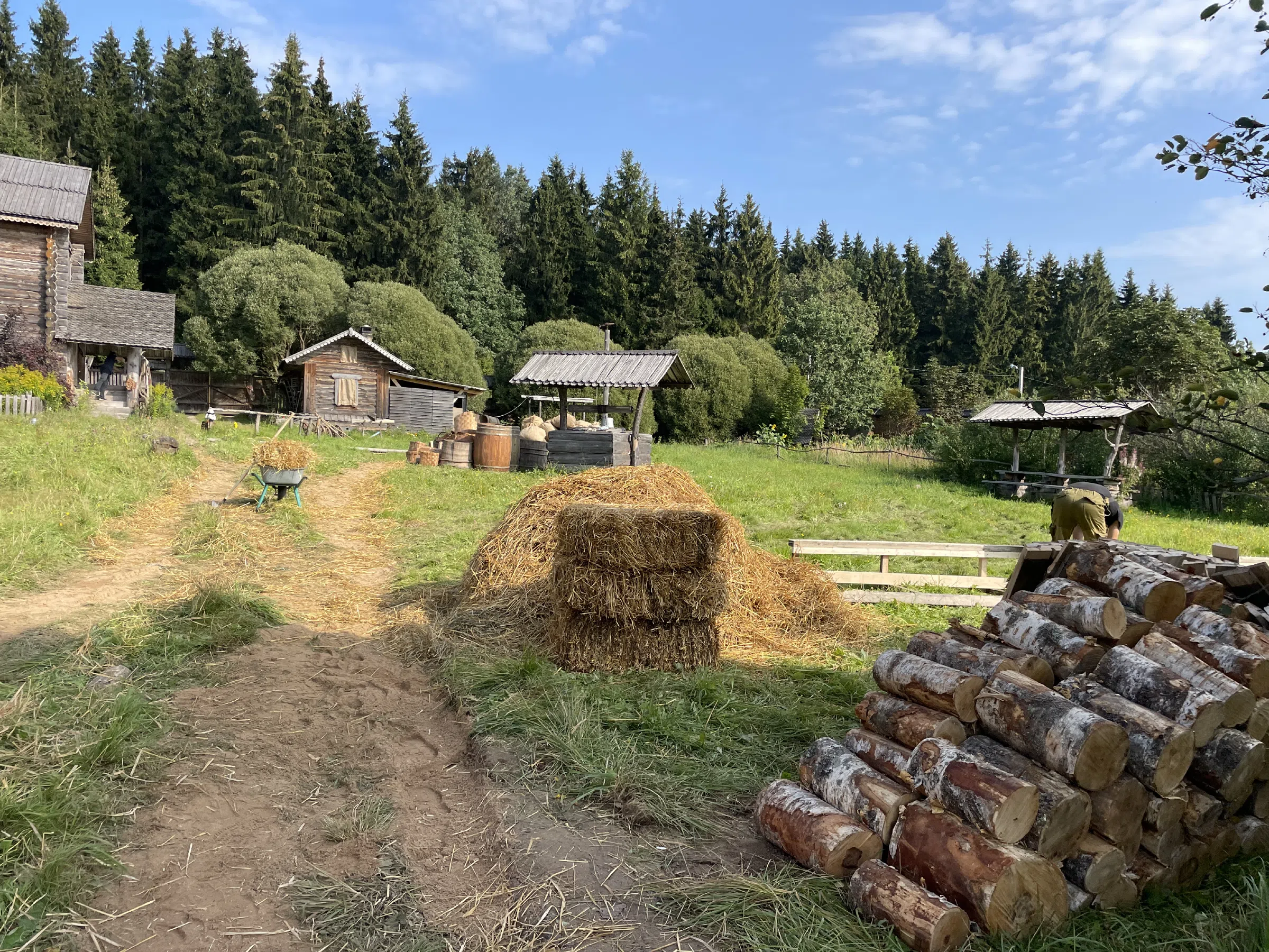 Поле с трактором, фото 10