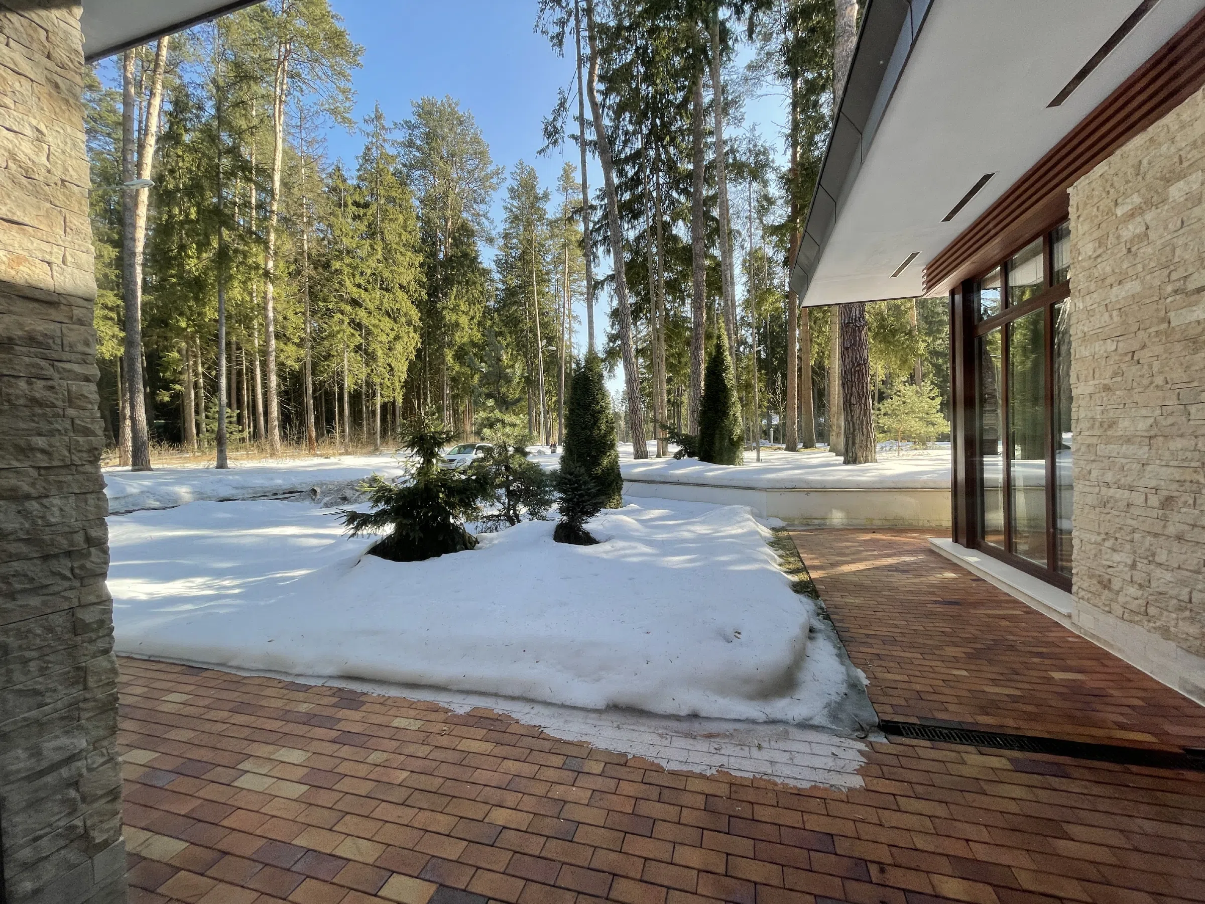 Каменный лес и снег, фото 15