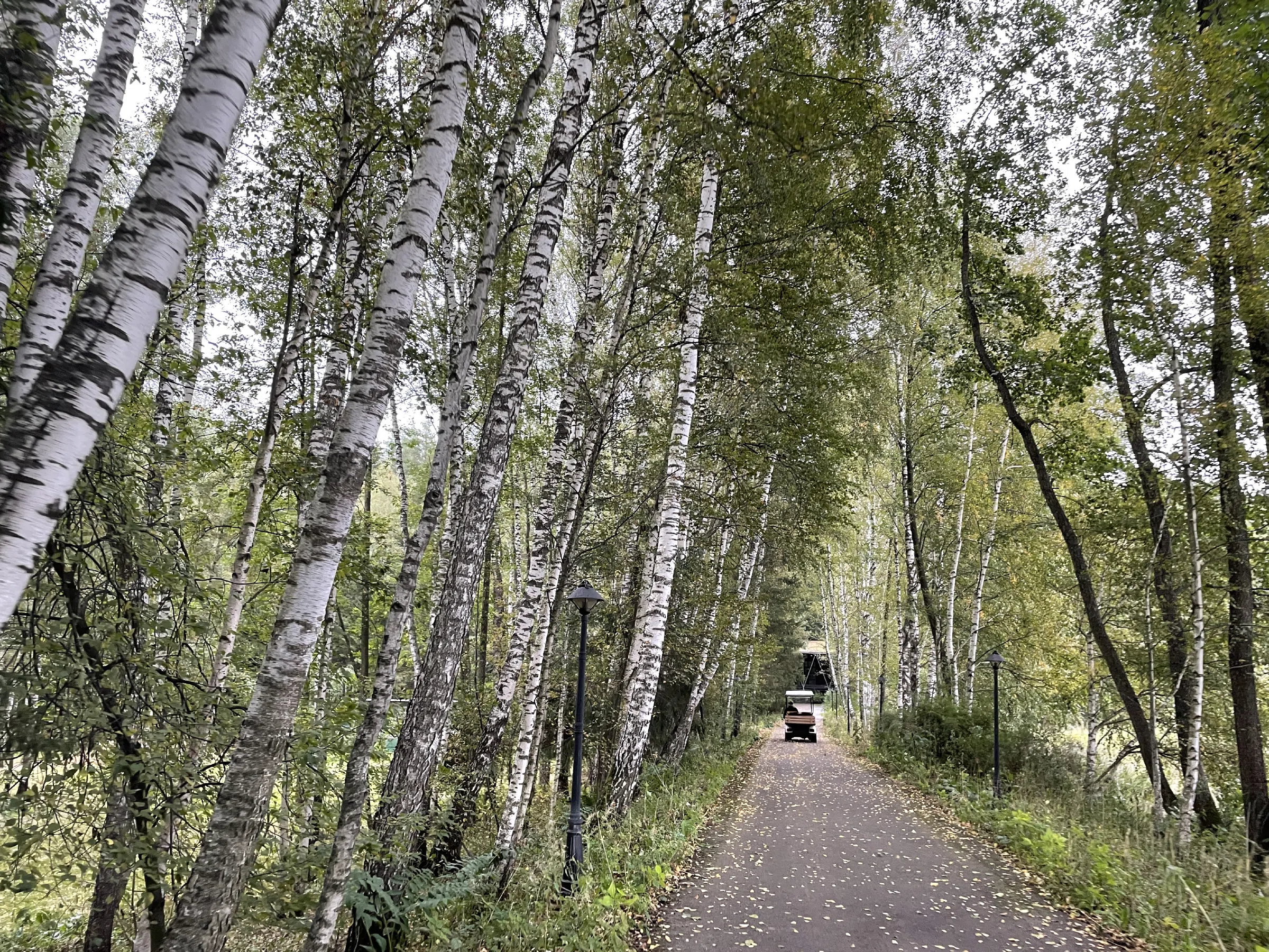 Загородный дом у озера, фото 5