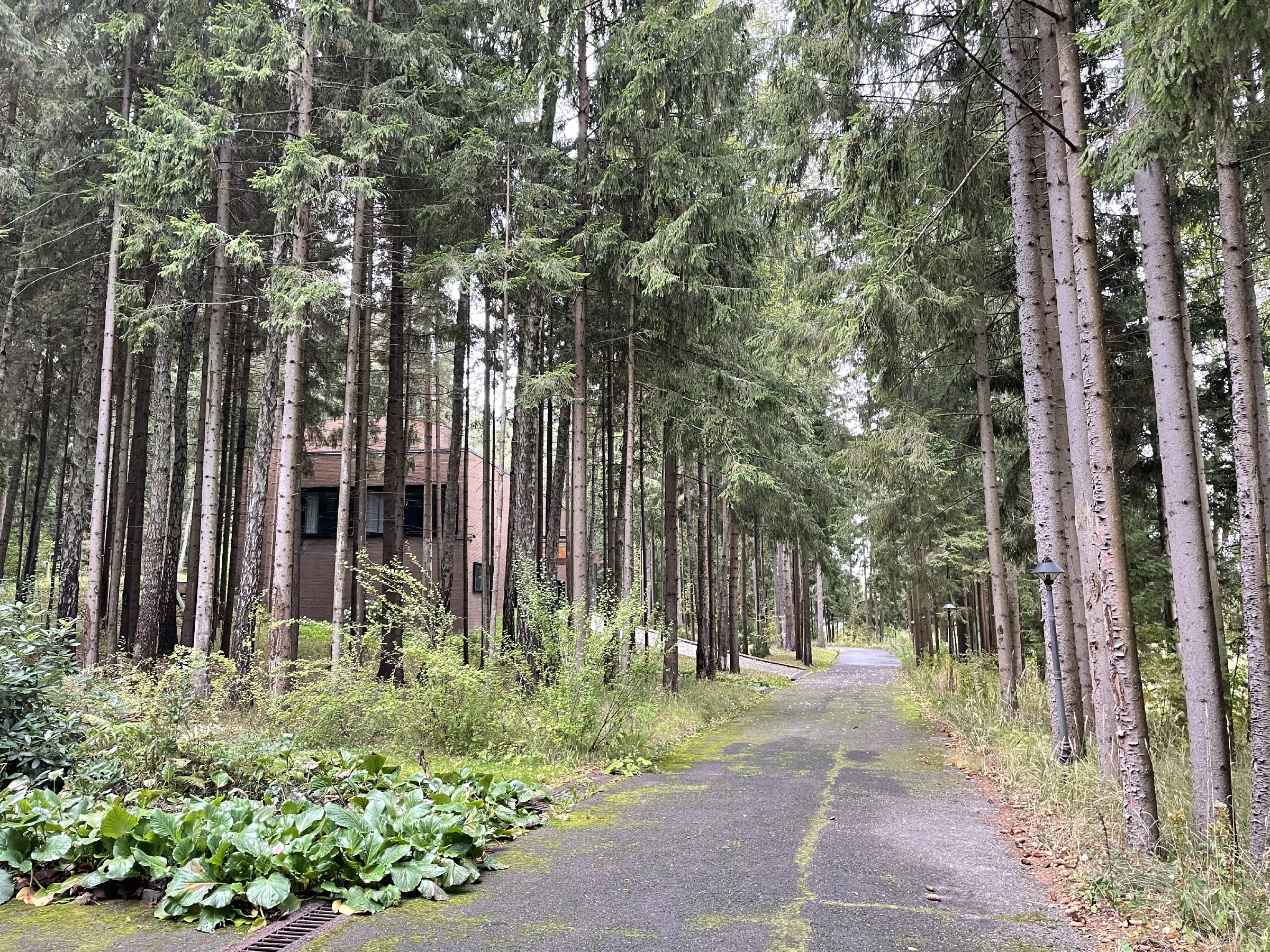 Загородный дом у озера, фото 13