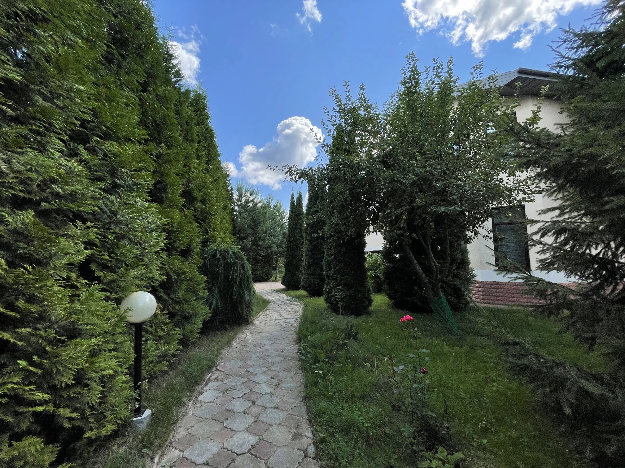 Дом с верандой и туями, фото 10