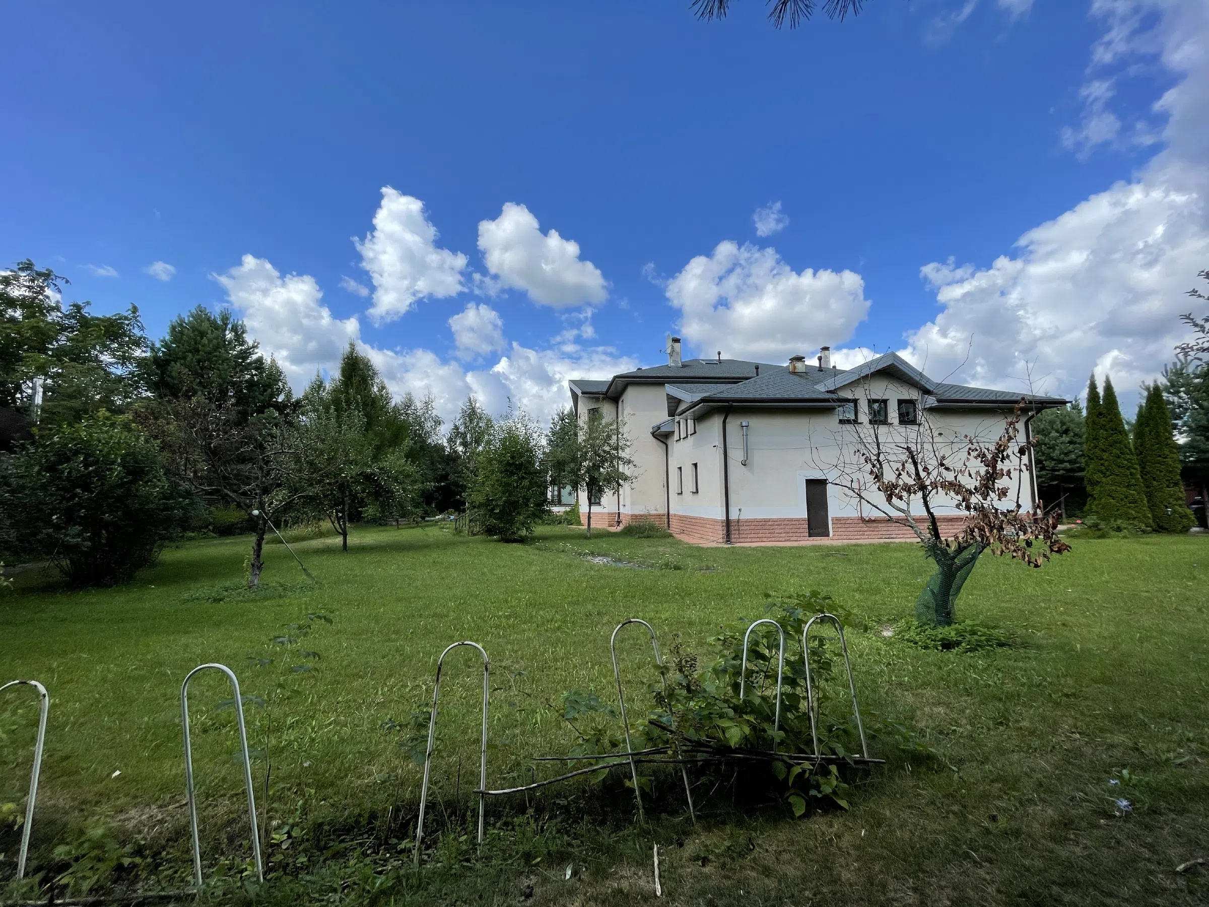 Дом с верандой и туями, фото 4