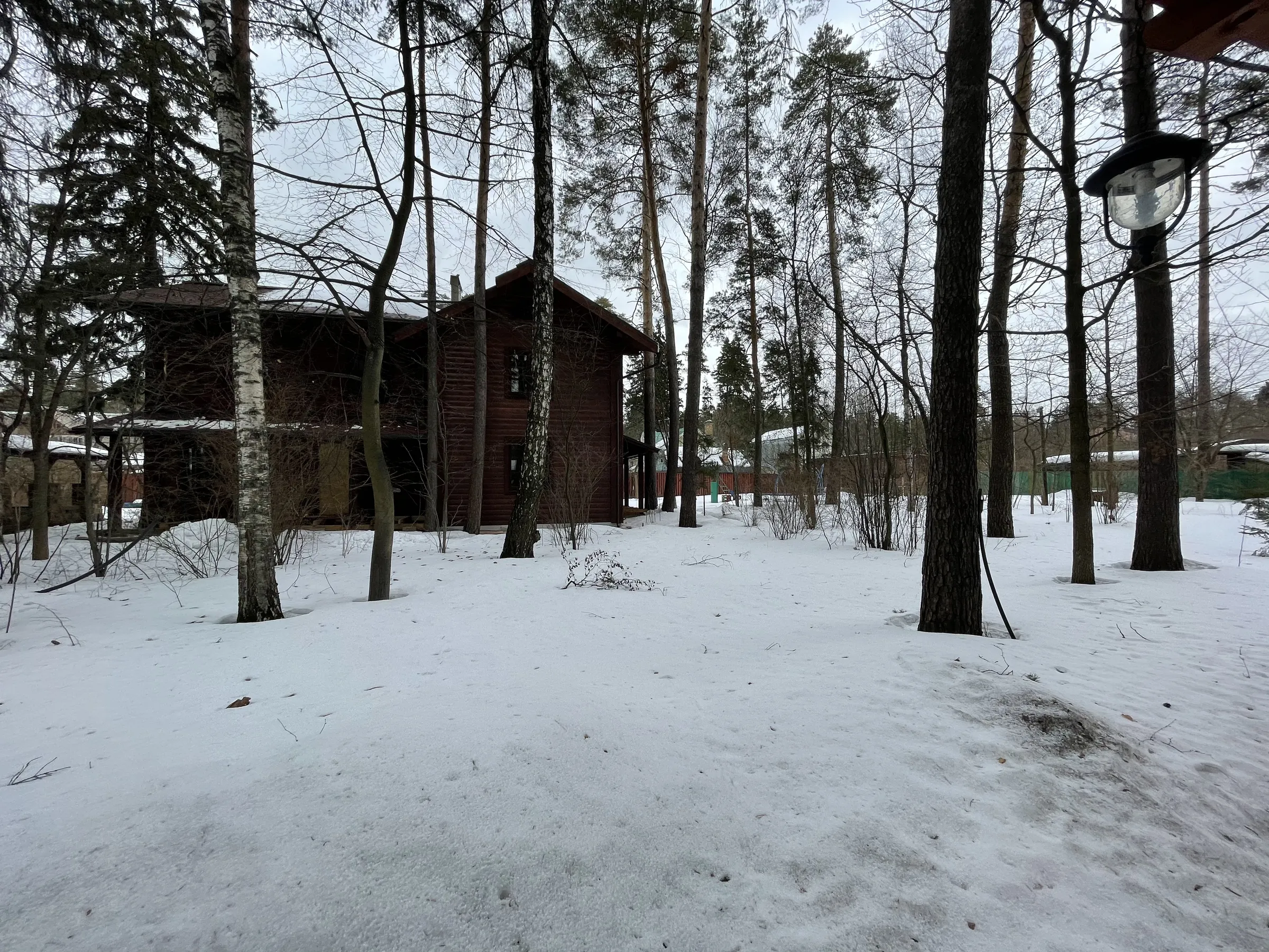 Деревянное шале с елями, фото 17