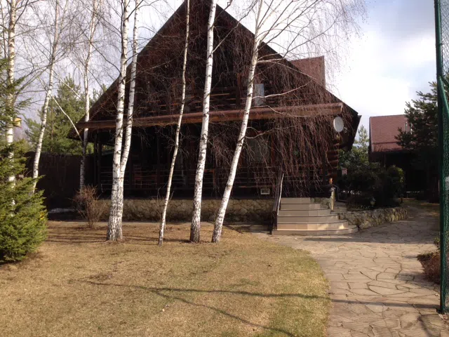 Дача сосновый лес, фото 10