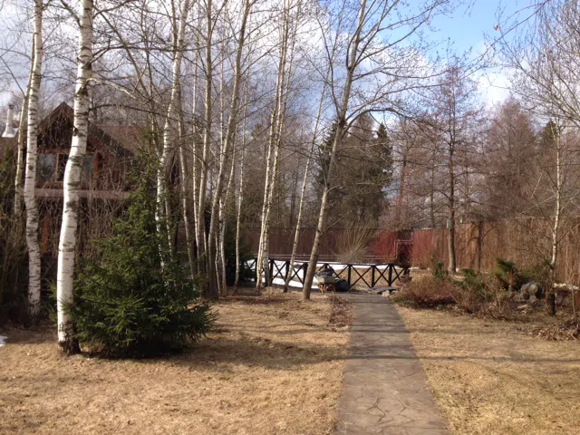 Дача сосновый лес, фото 12