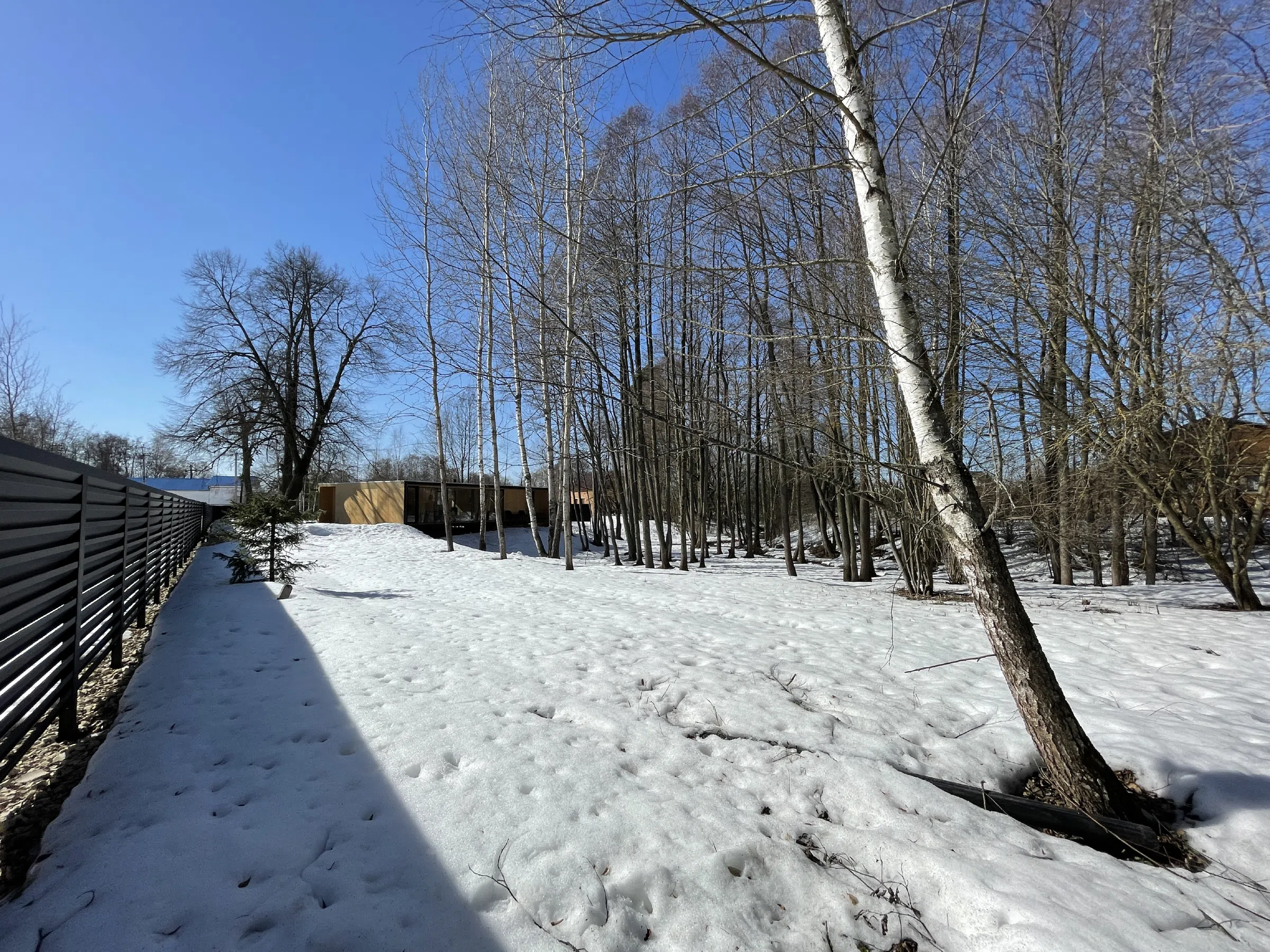 Минимализм в лесу, фото 11