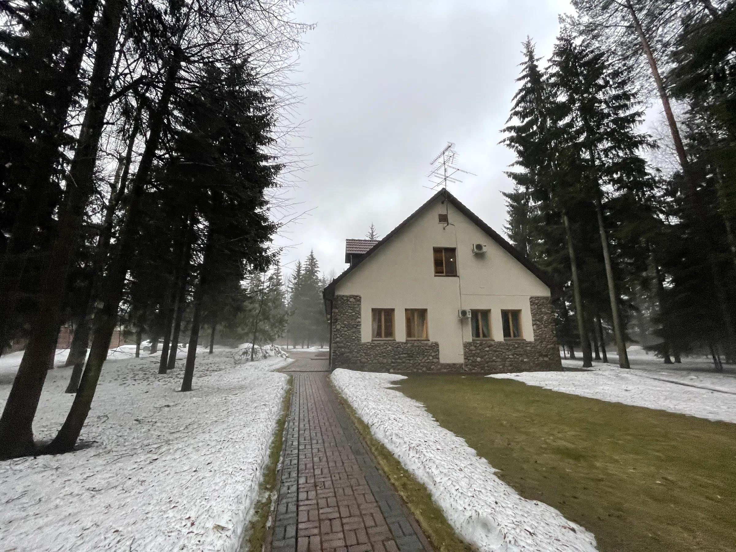 Дом с лесным двором, фото 22