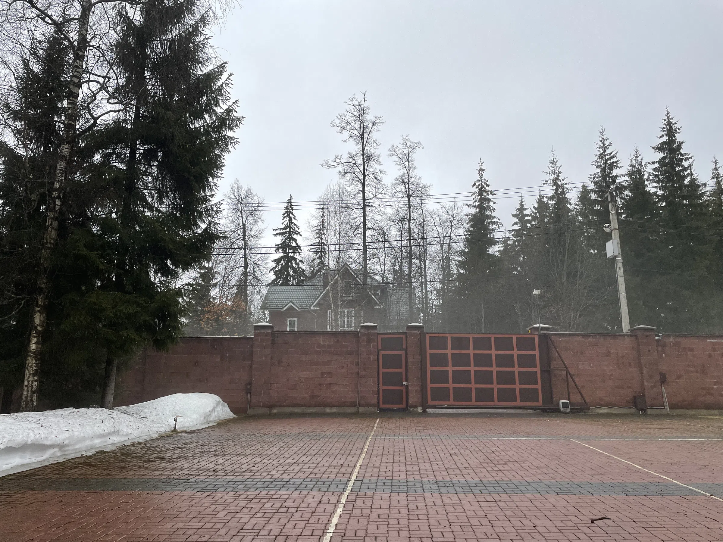 Дом с лесным двором, фото 4