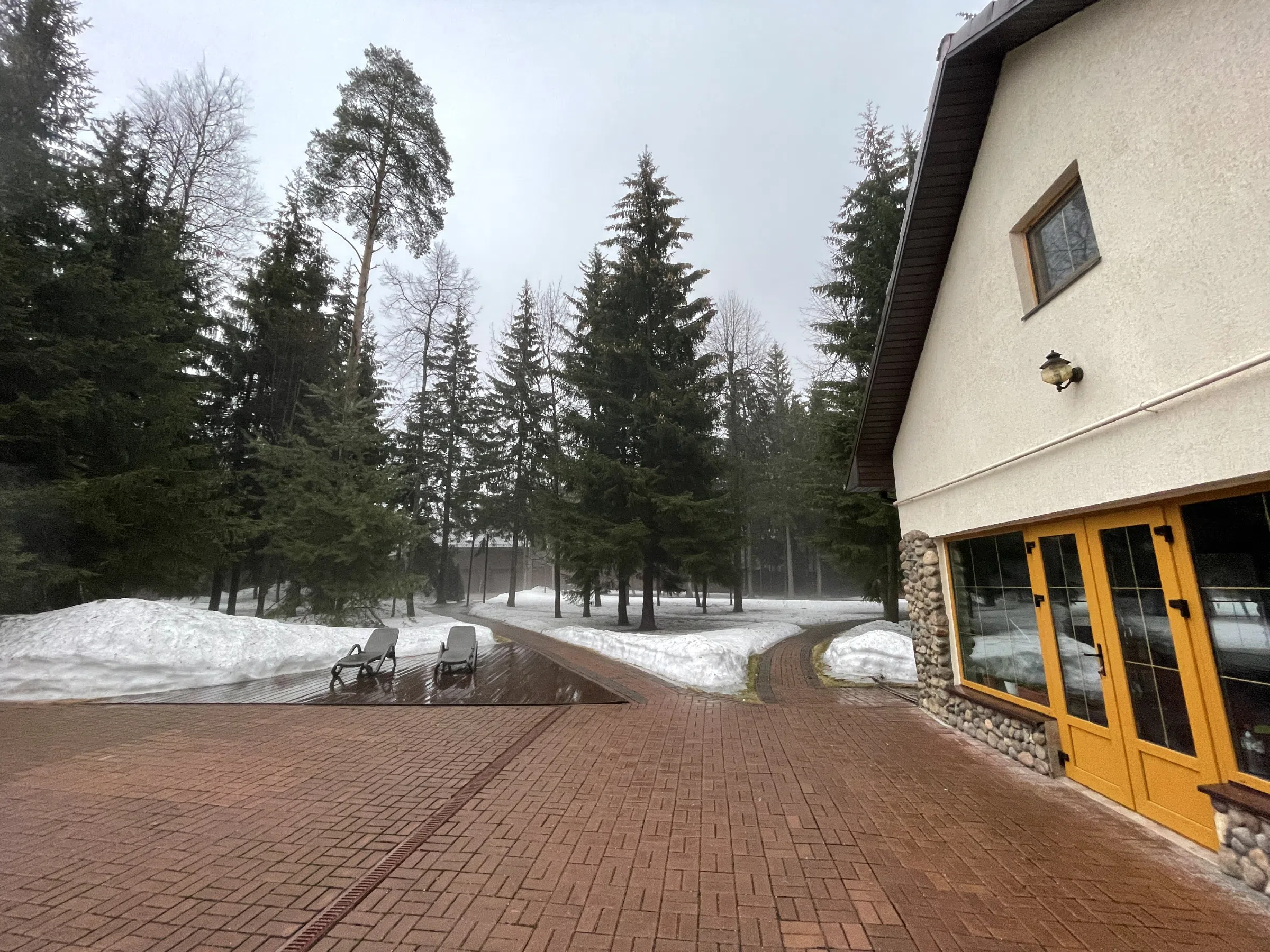 Дом с лесным двором, фото 7