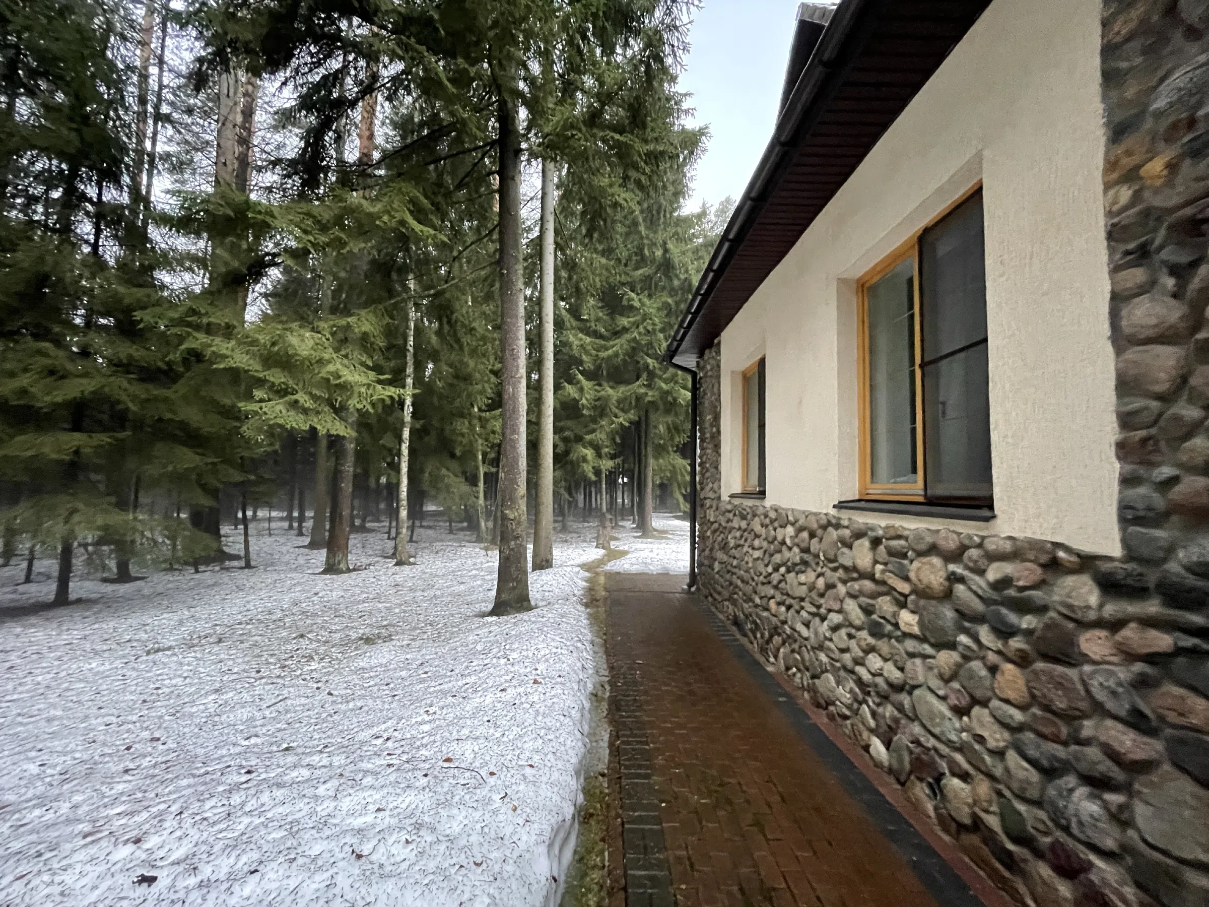 Дом с лесным двором, фото 14