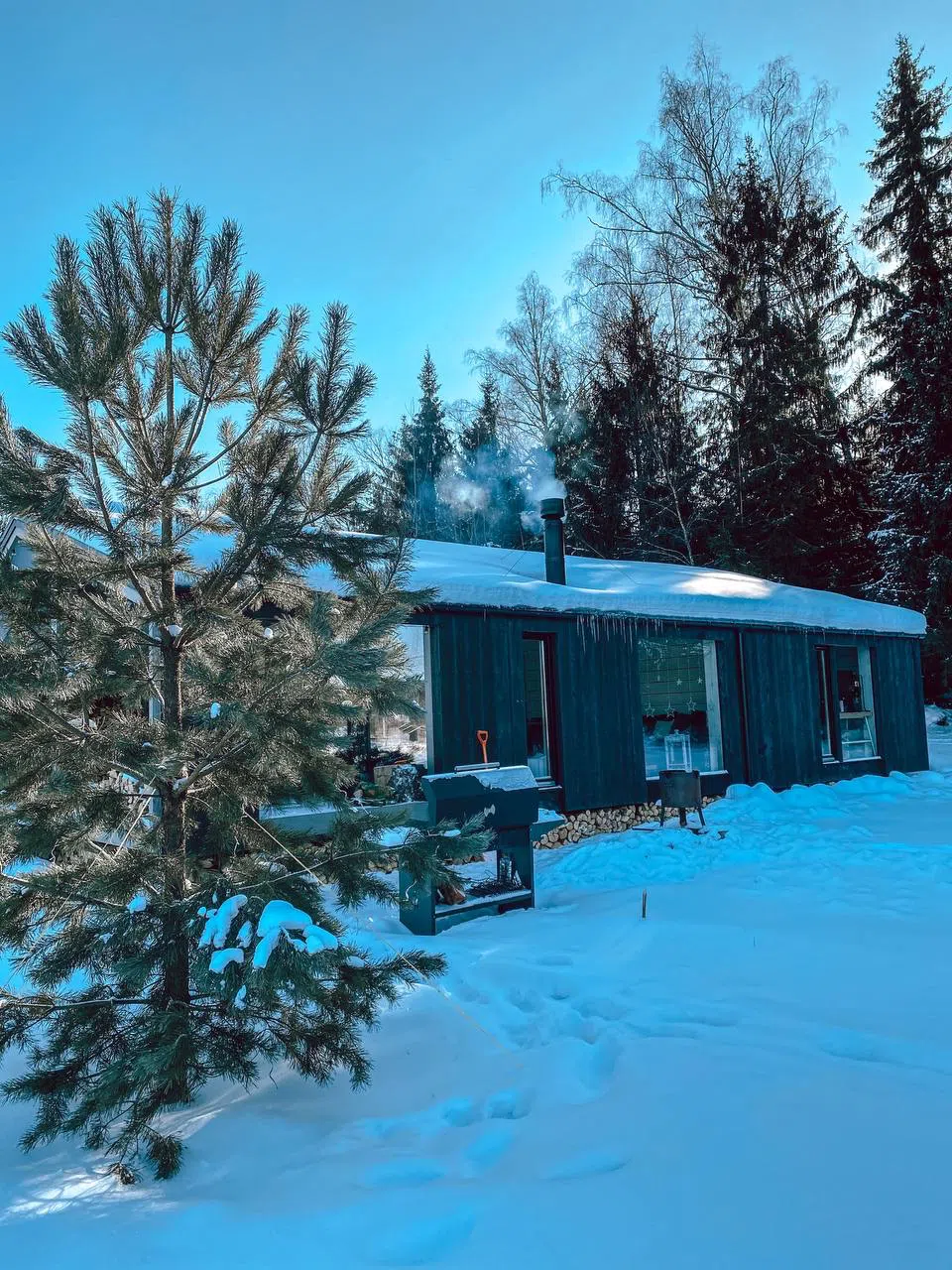 Панорамный дом-шале, фото 1