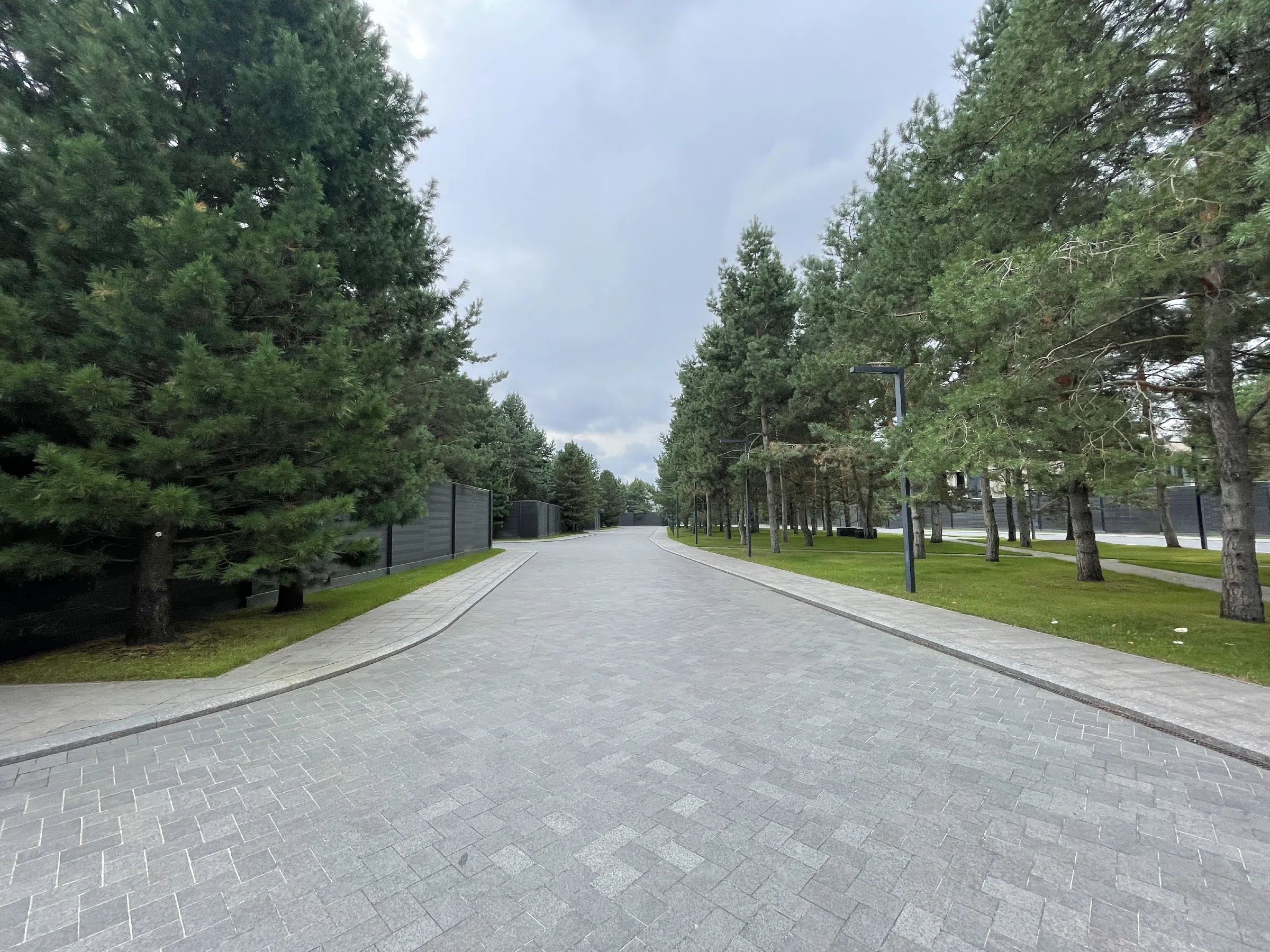 Въезд в сосновый лес, фото 6