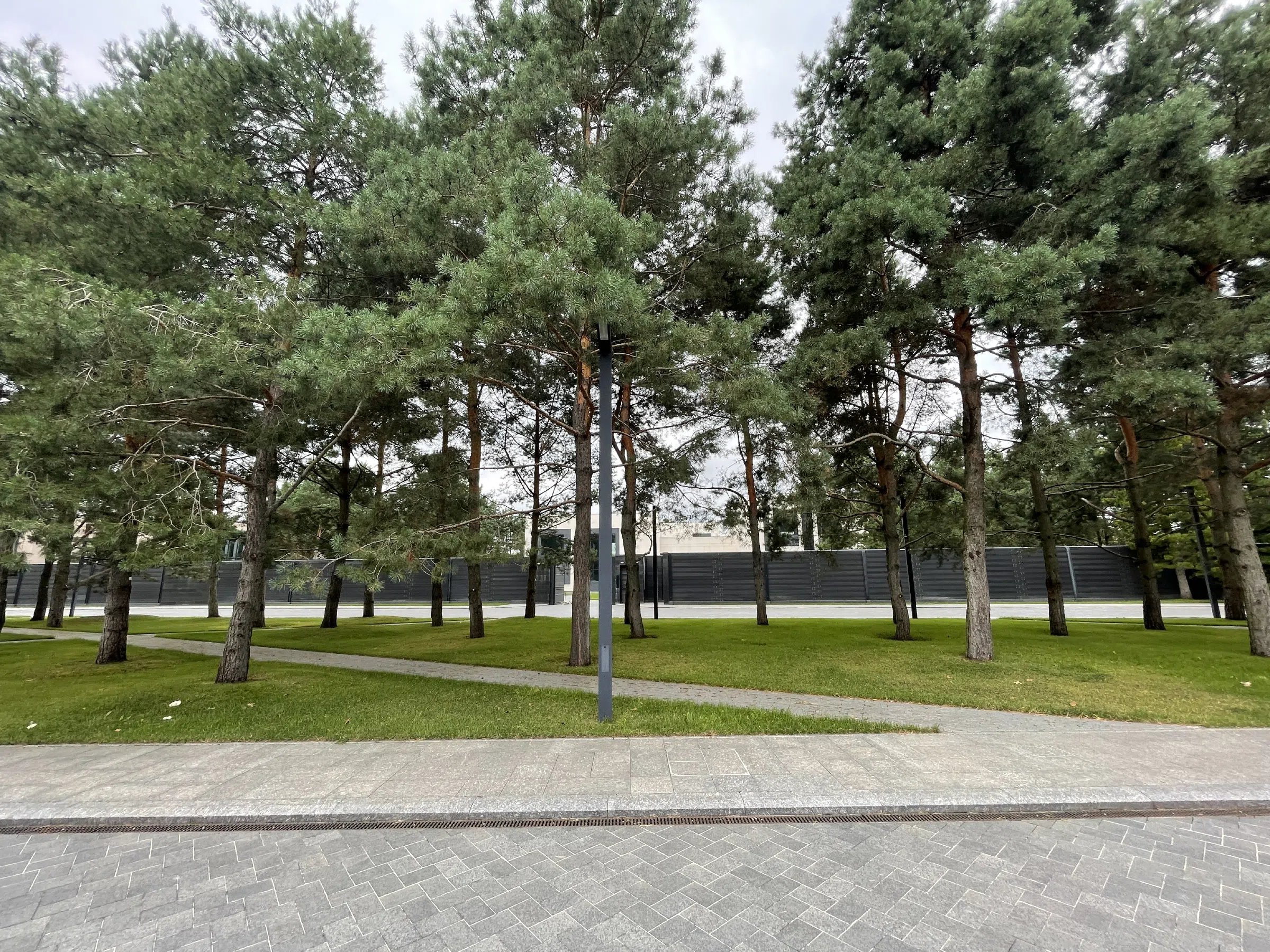 Въезд в сосновый лес, фото 7
