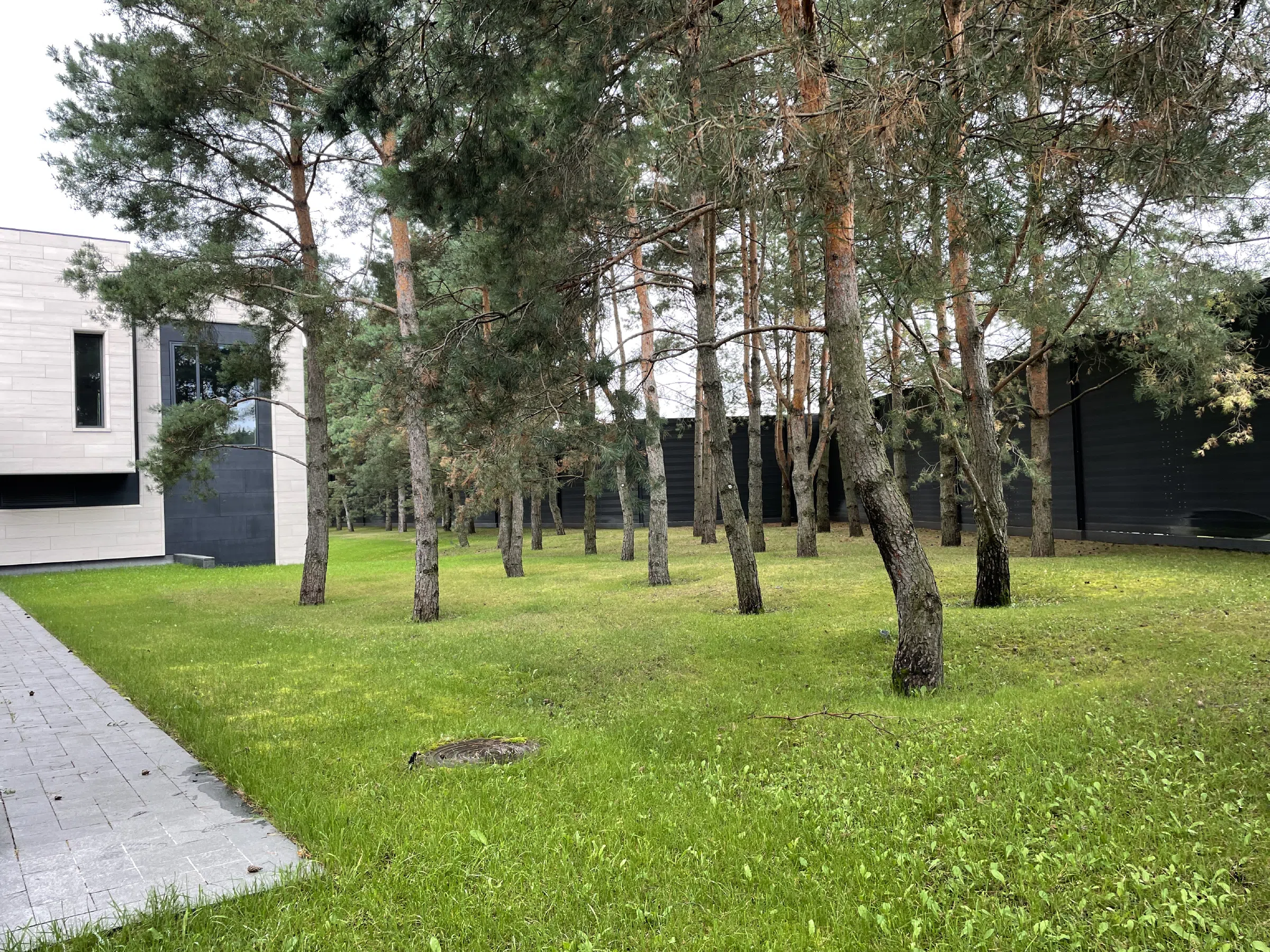 Въезд в сосновый лес, фото 23