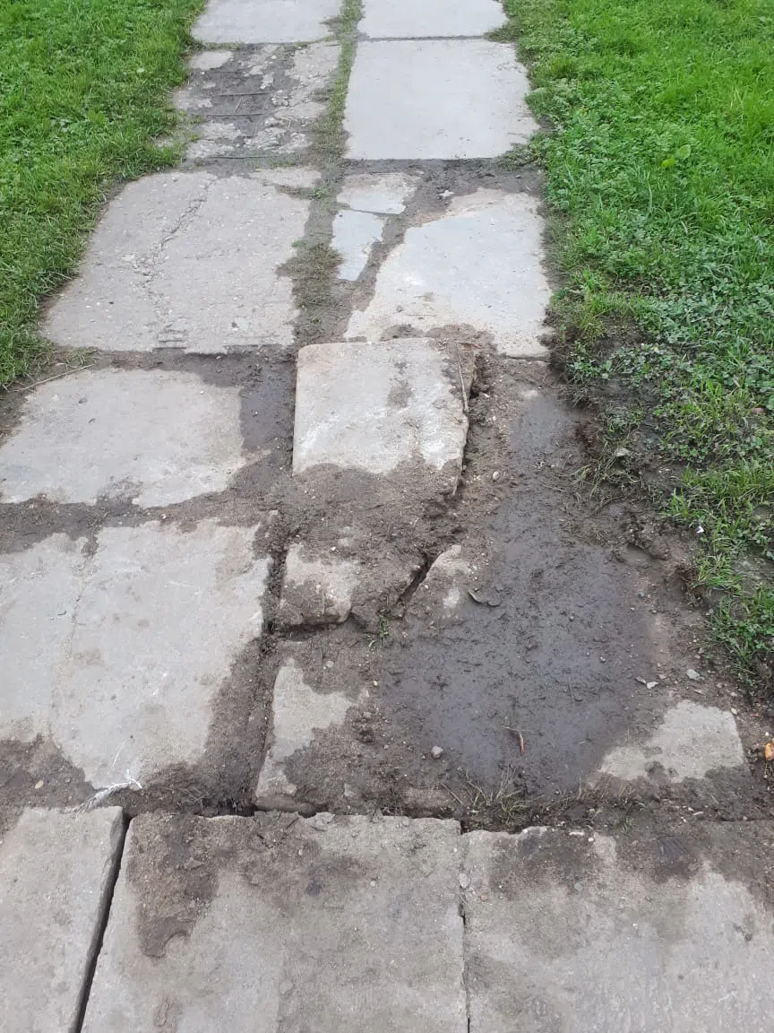 Газон и бетонная дорожка, фото 16