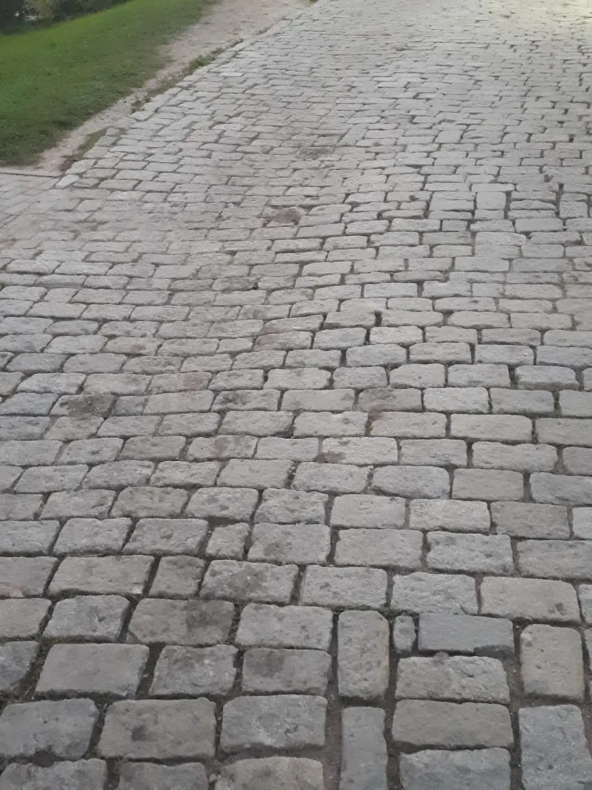 Газон и бетонная дорожка, фото 13