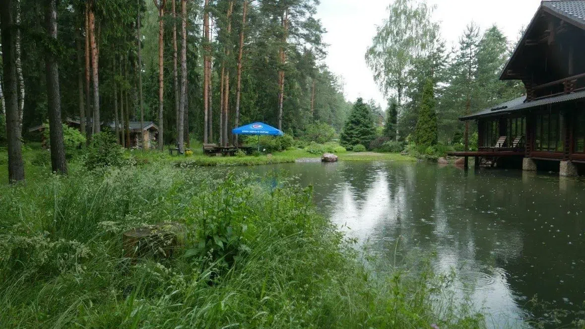 Баня на пруду, фото 6