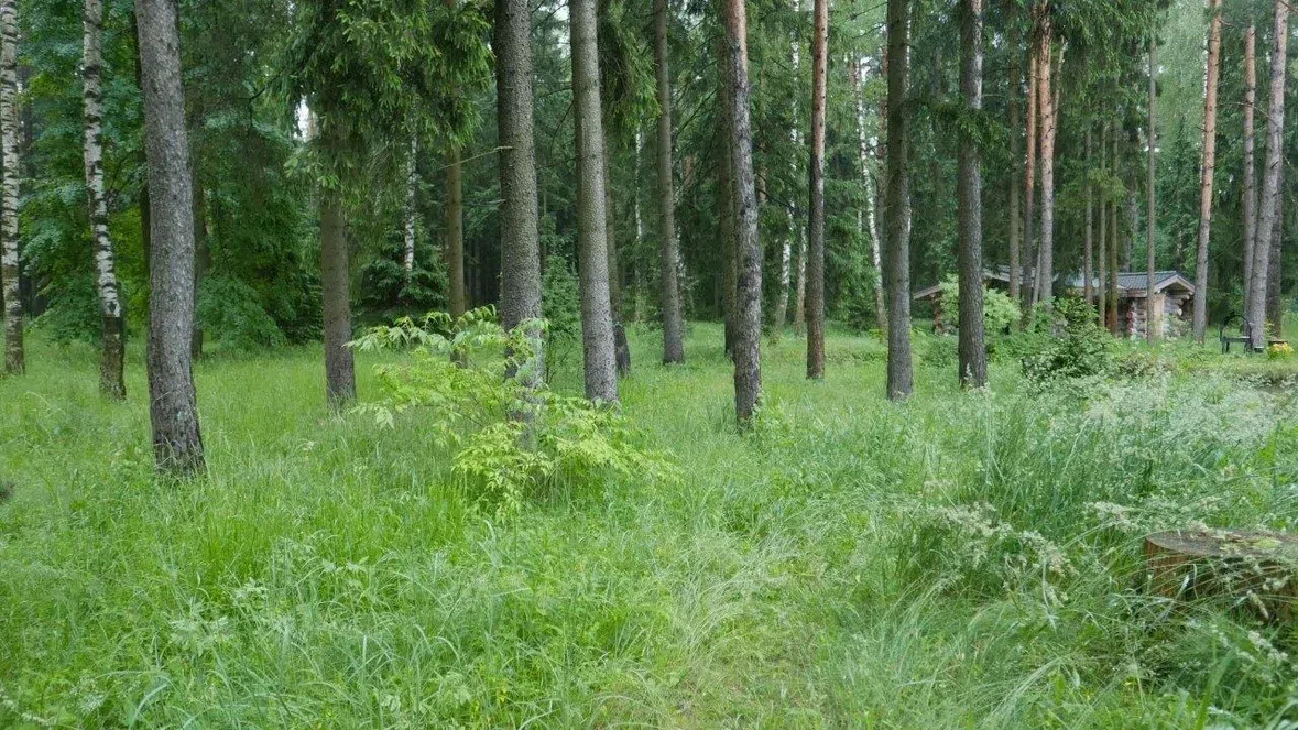 Баня на пруду, фото 8