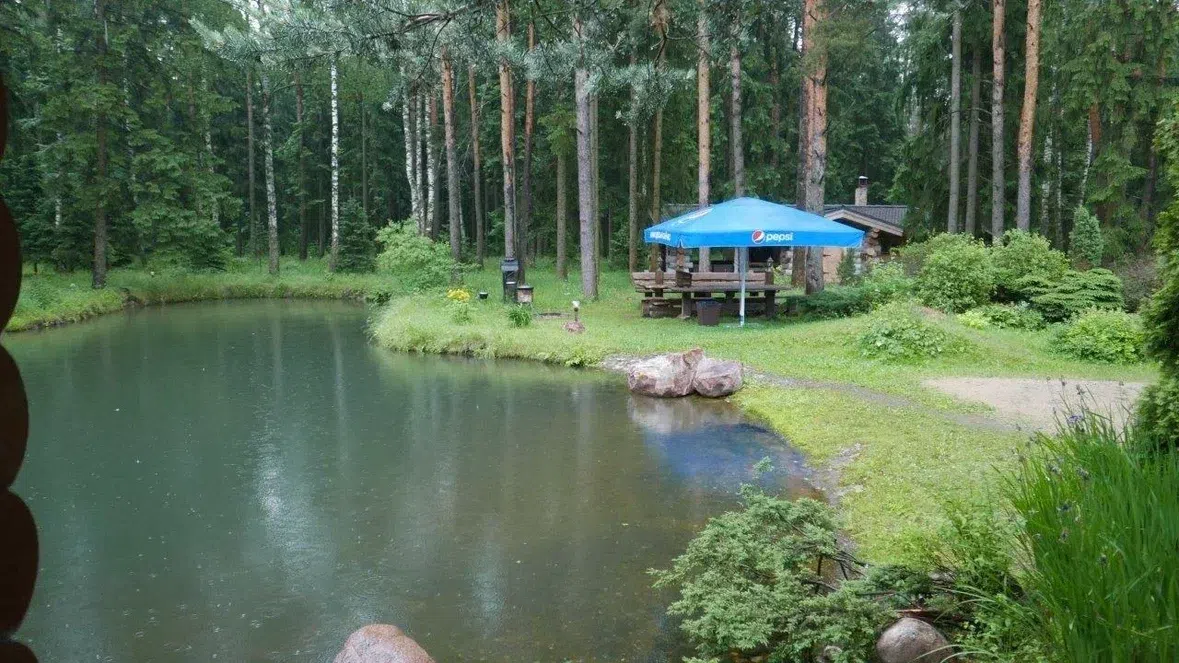 Баня на пруду, фото 22