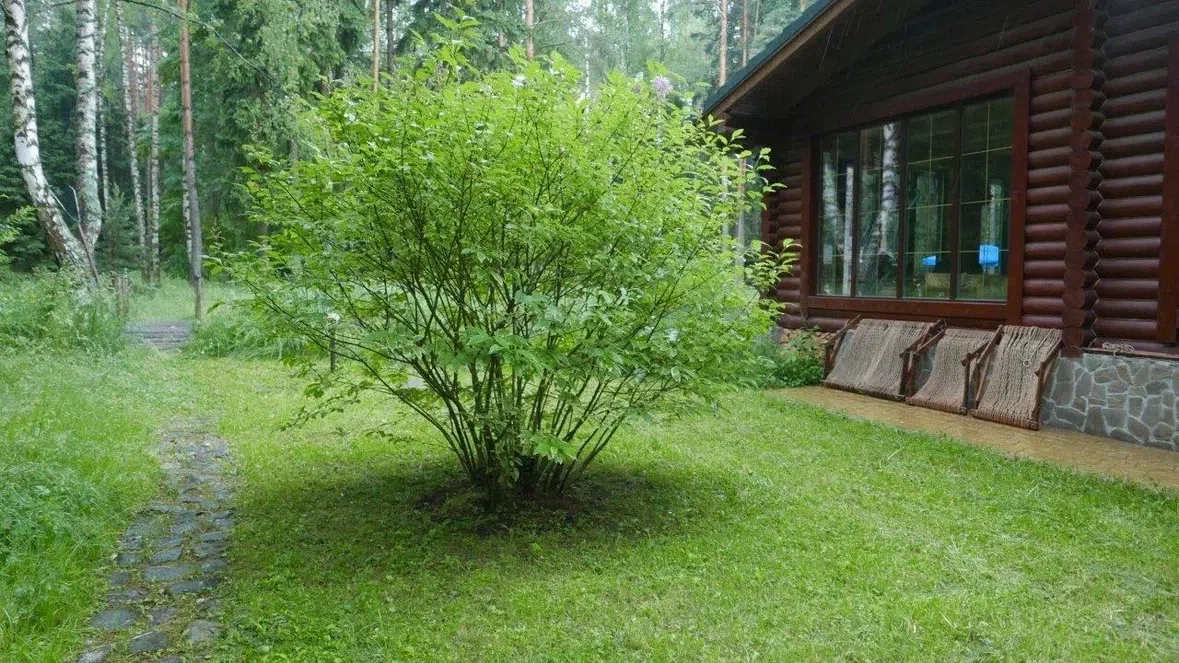 Баня на пруду, фото 13