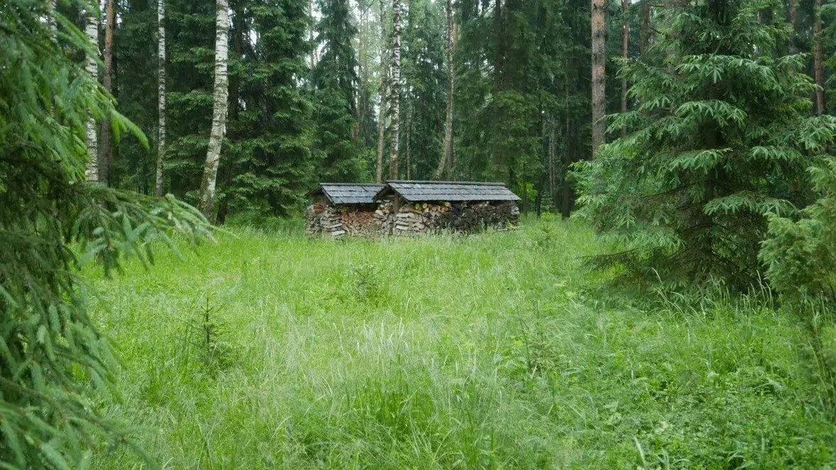 Баня на пруду, фото 9