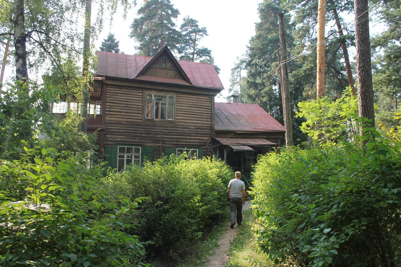 Резная дача в чаще, фото 3