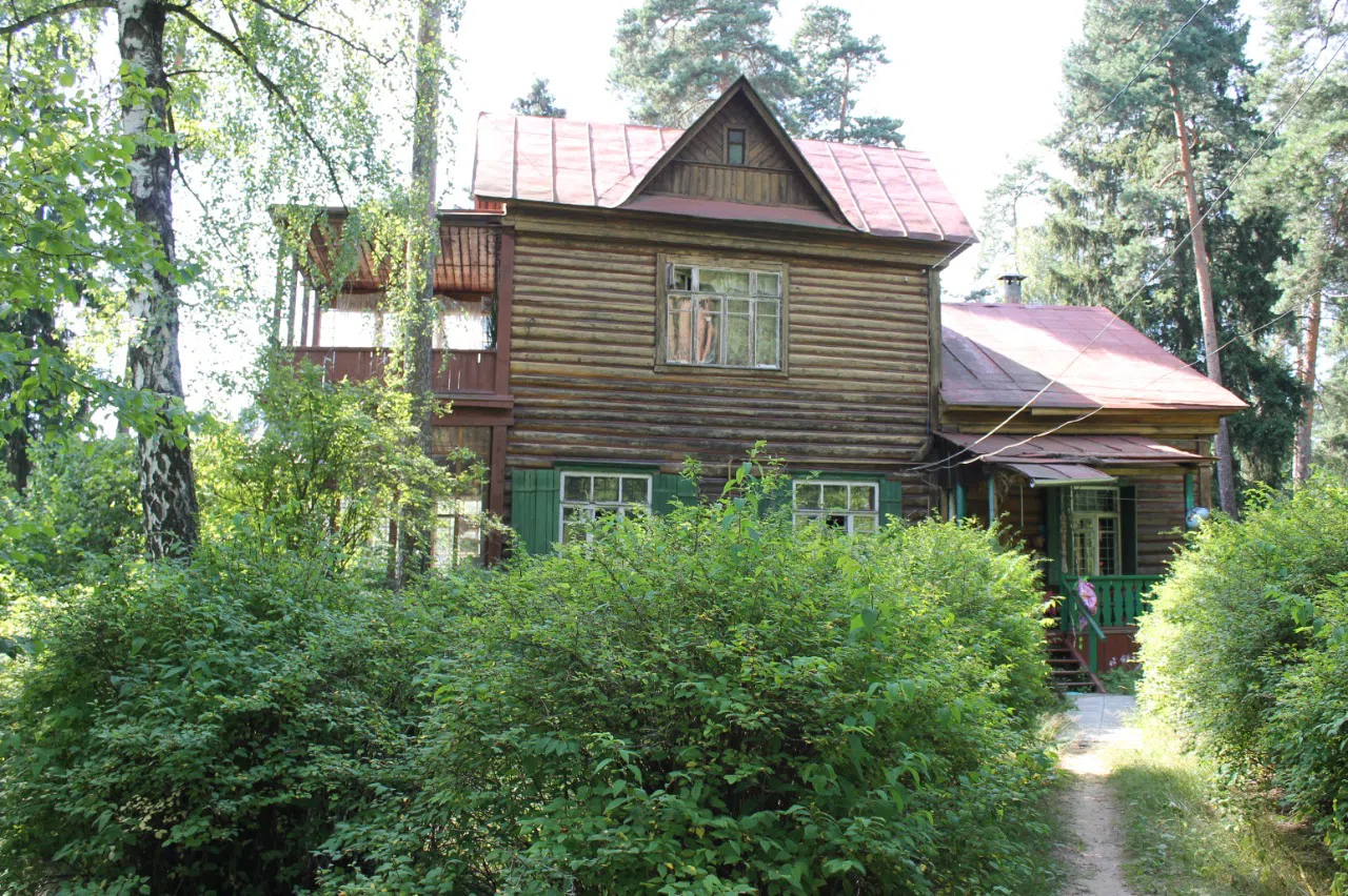 Резная дача в чаще, фото 7