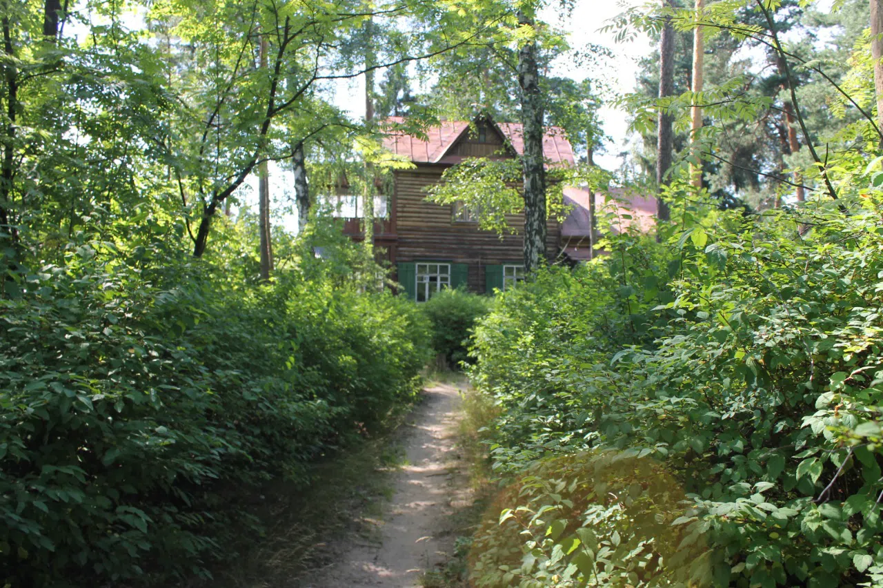 Резная дача в чаще, фото 5