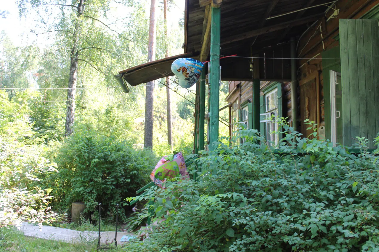 Резная дача в чаще, фото 6